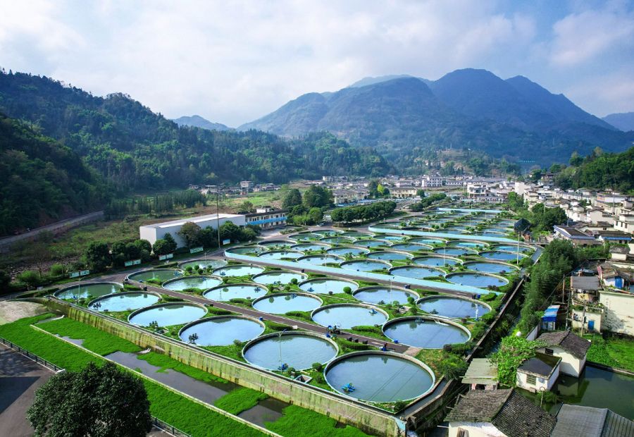 AQUACULTURE AQUACULTURE